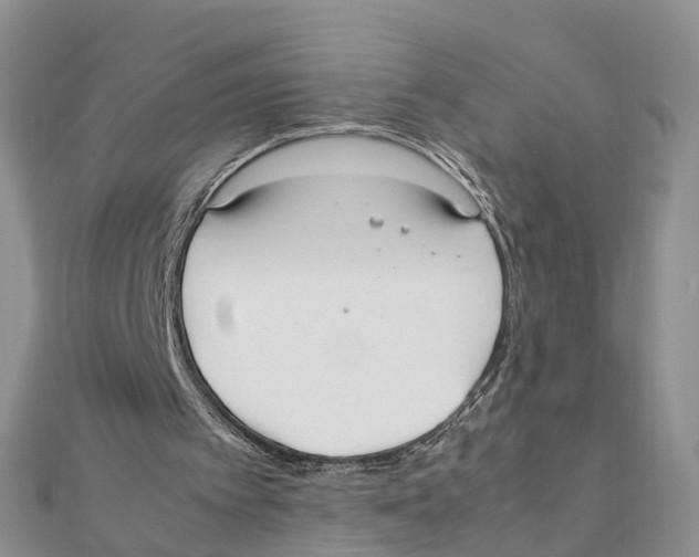 X0000111500097200908111255