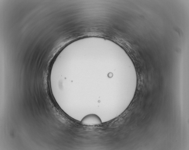 X0000111500098200908111255