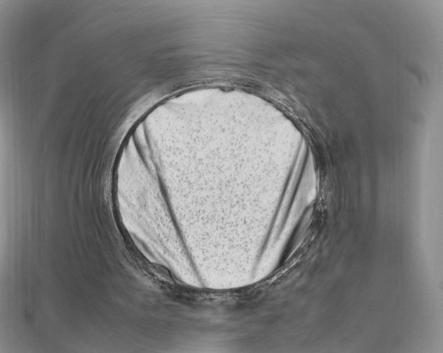 X0000111500099200908111255