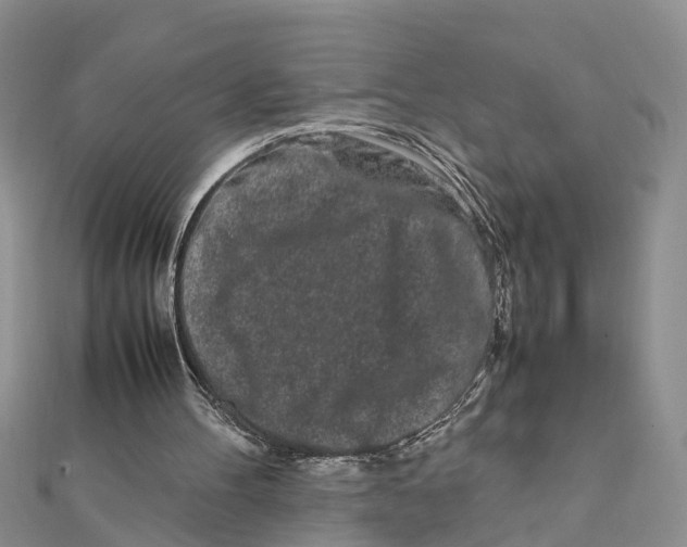 X0000111500100200908111255