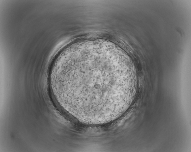 X0000111500101200908111255