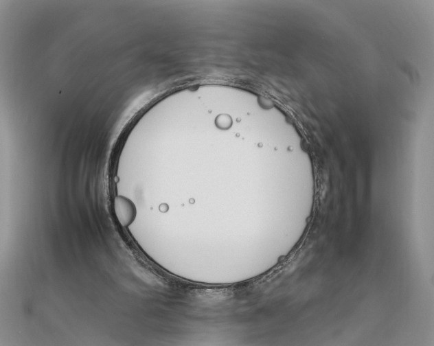 X0000111500102200908111255