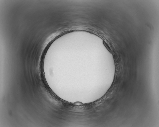 X0000111500104200908111255