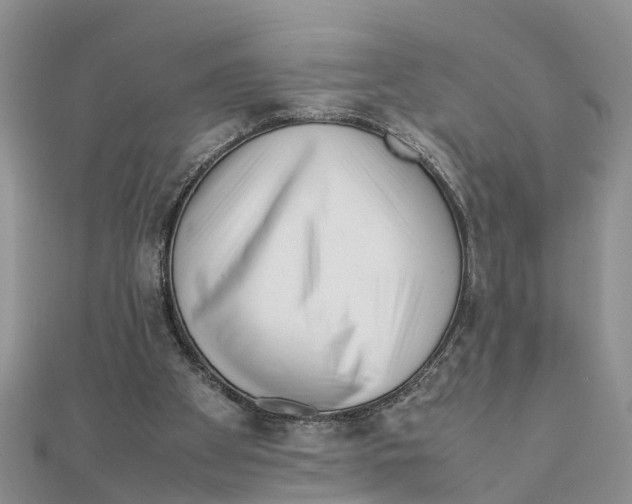 X0000111500105200908111255