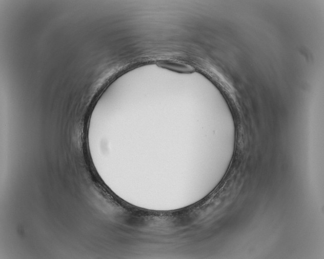 X0000111500107200908111255