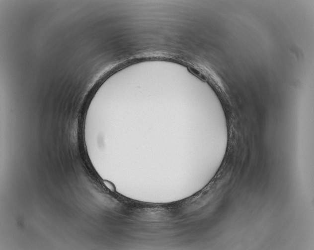 X0000111500108200908111255