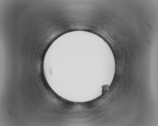 X0000111500111200908111255