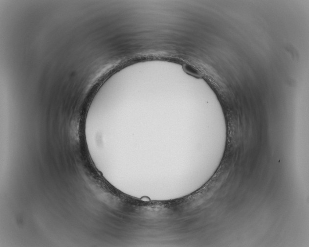 X0000111500112200908111255