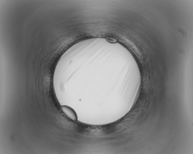 X0000111500113200908111255