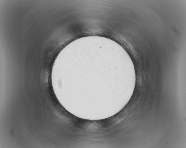 X0000111500115200908111255