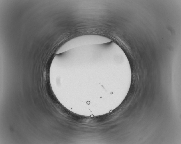 X0000111500117200908111255