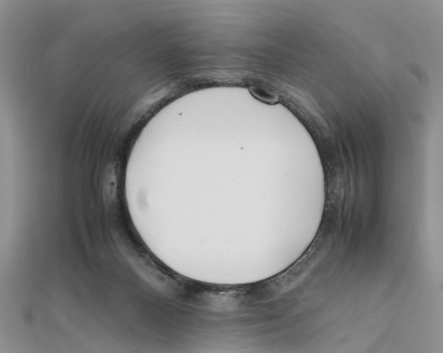 X0000111500120200908111255