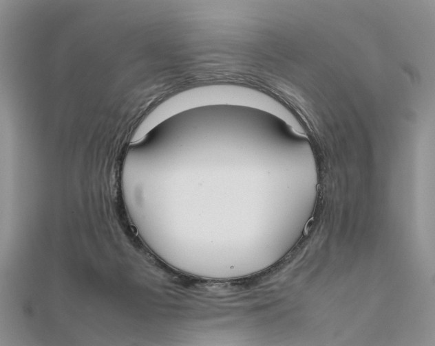 X0000111500121200908111255