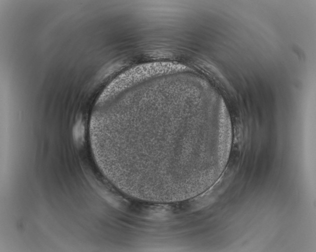 X0000111500124200908111255