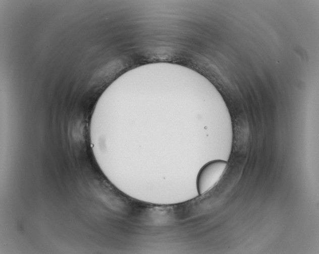 X0000111500126200908111255