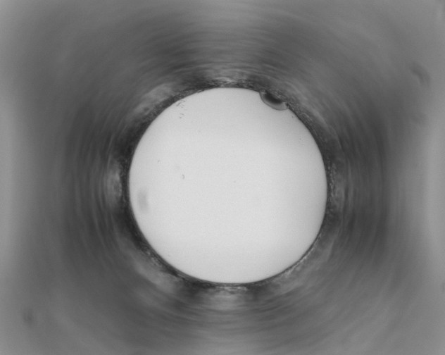 X0000111500128200908111255