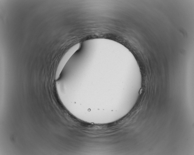 X0000111500129200908111255