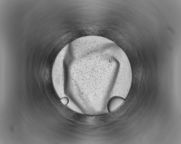 X0000111500130200908111255