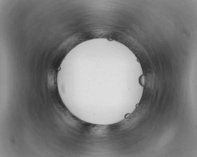 X0000111500138200908111255