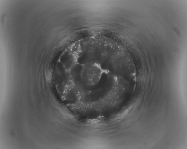 X0000111500139200908111255