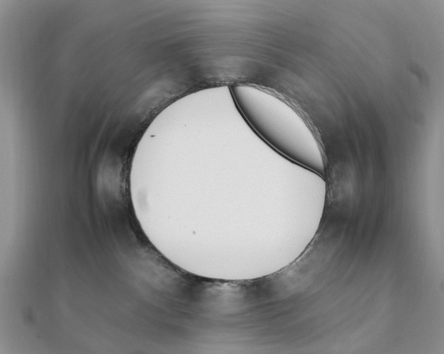 X0000111500140200908111255