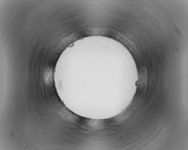 X0000111500142200908111255