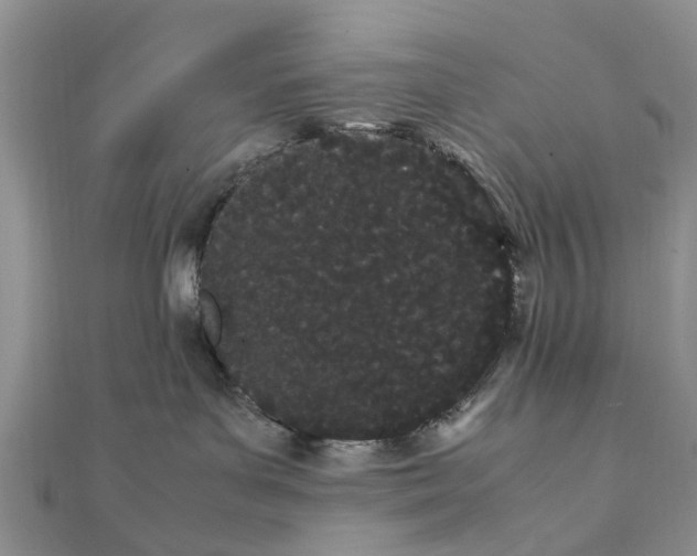 X0000111500143200908111255