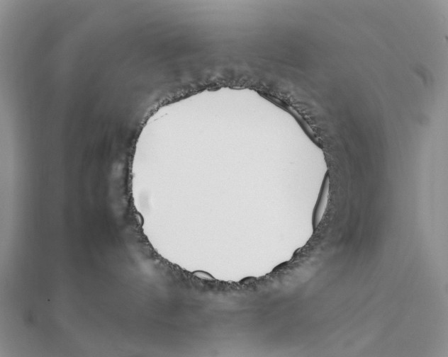 X0000111500144200908111255