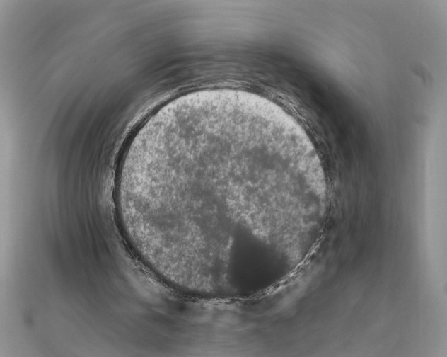 X0000111500146200908111254