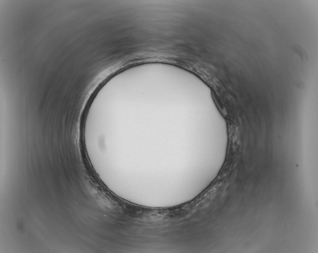 X0000111500148200908111254