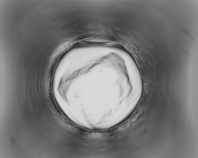 X0000111500149200908111254