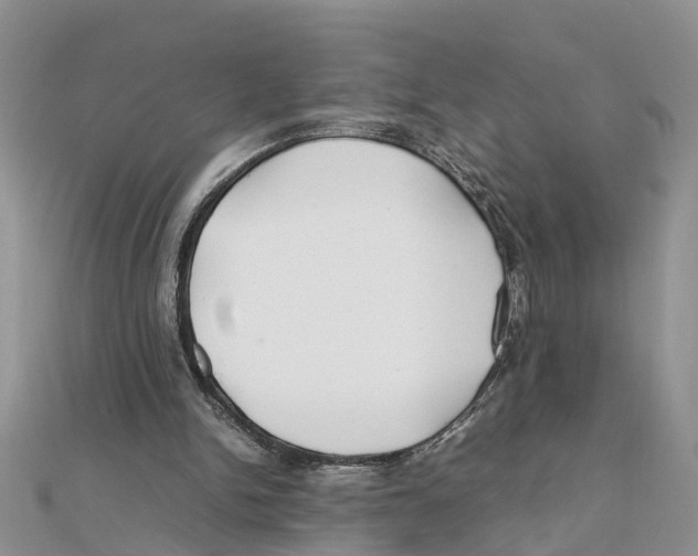 X0000111500150200908111254