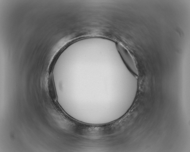 X0000111500152200908111254