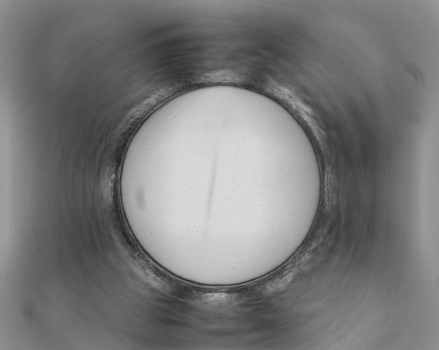 X0000111500153200908111254