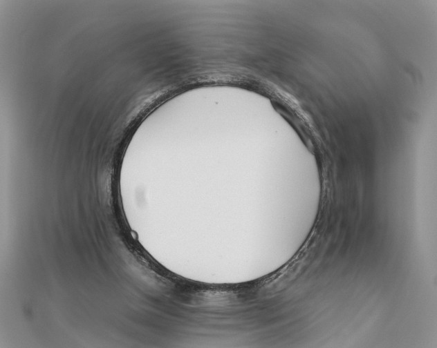 X0000111500154200908111254