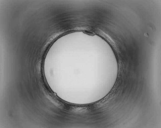 X0000111500155200908111254