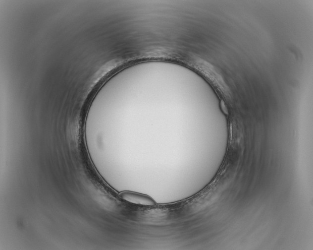 X0000111500156200908111254