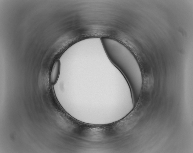 X0000111500158200908111254