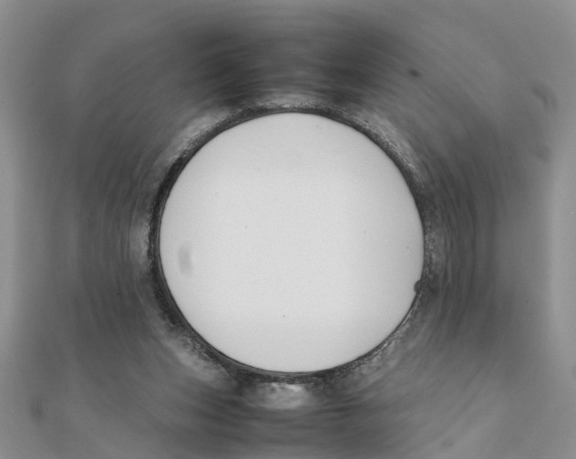 X0000111500159200908111254