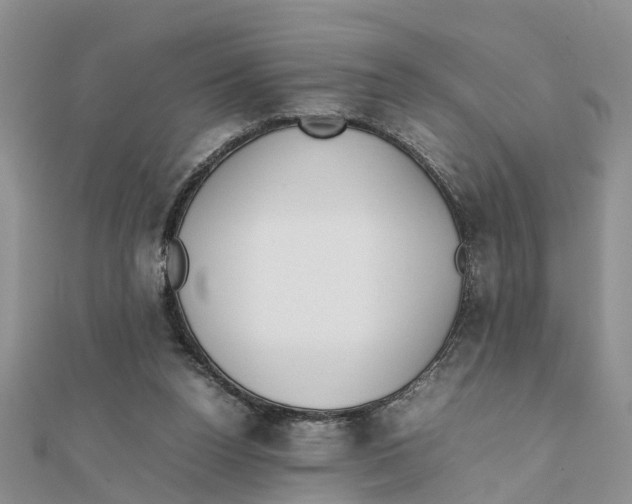 X0000111500160200908111254