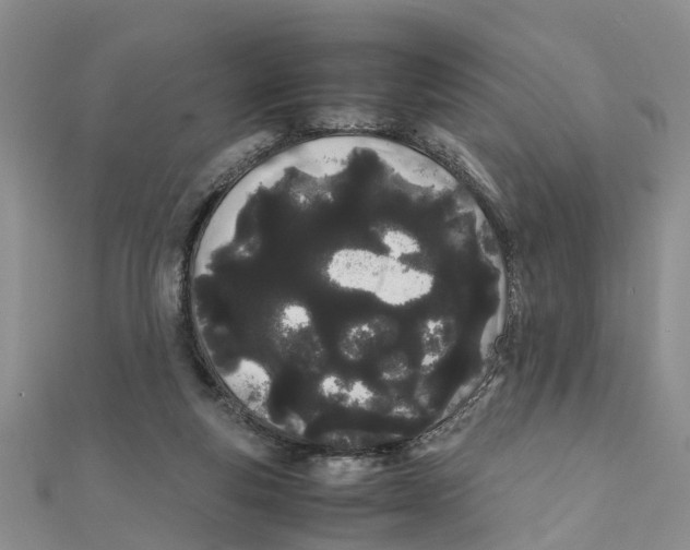 X0000111500163200908111254