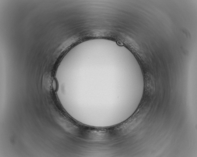 X0000111500164200908111254