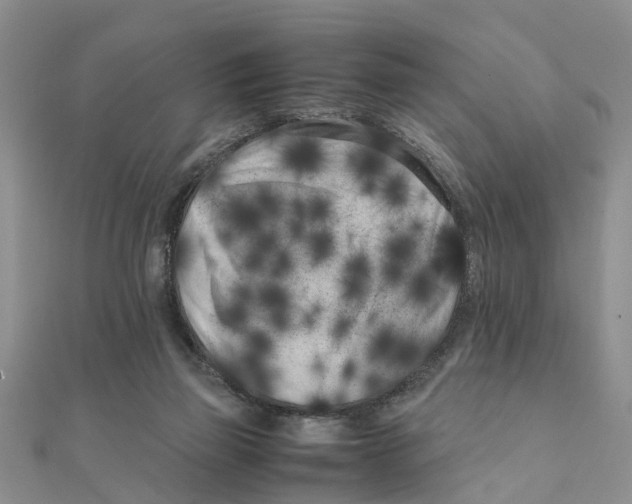 X0000111500165200908111254