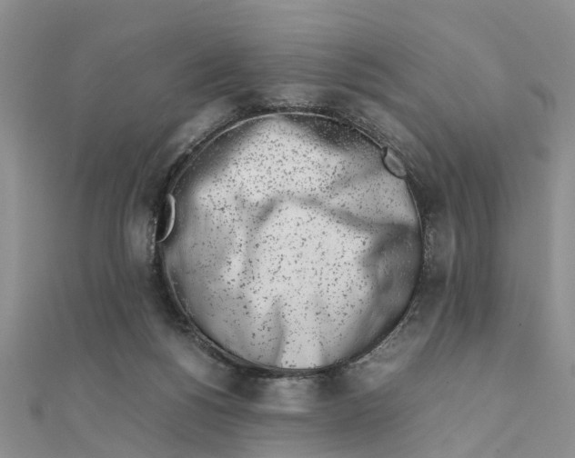 X0000111500168200908111254