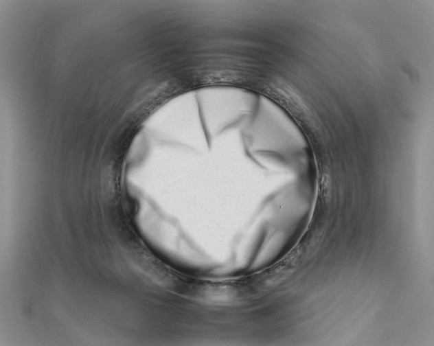 X0000111500169200908111254