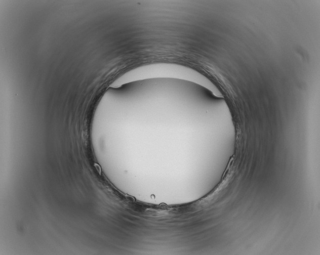 X0000111500170200908111254