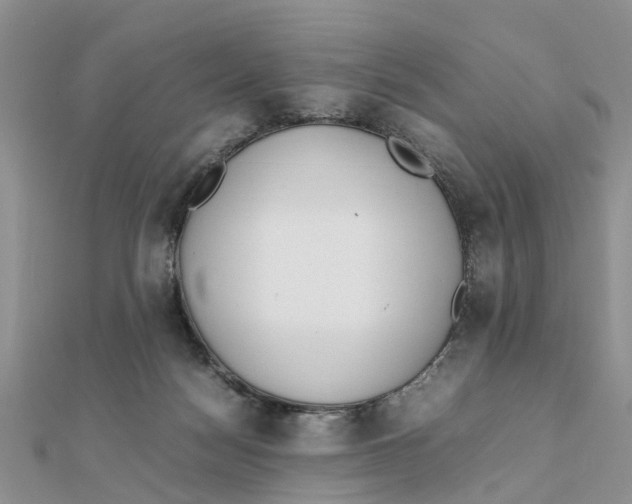 X0000111500172200908111254