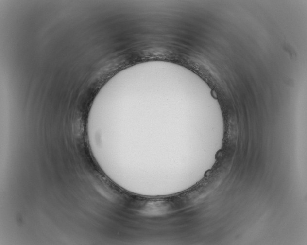 X0000111500173200908111254