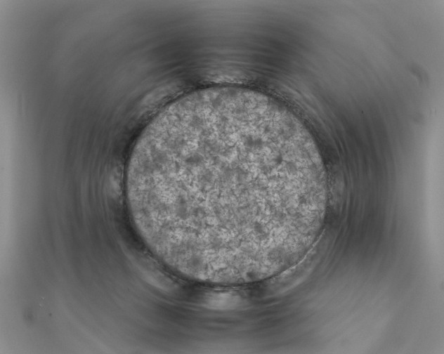 X0000111500175200908111254