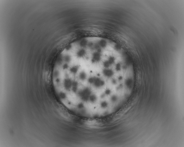 X0000111500177200908111254